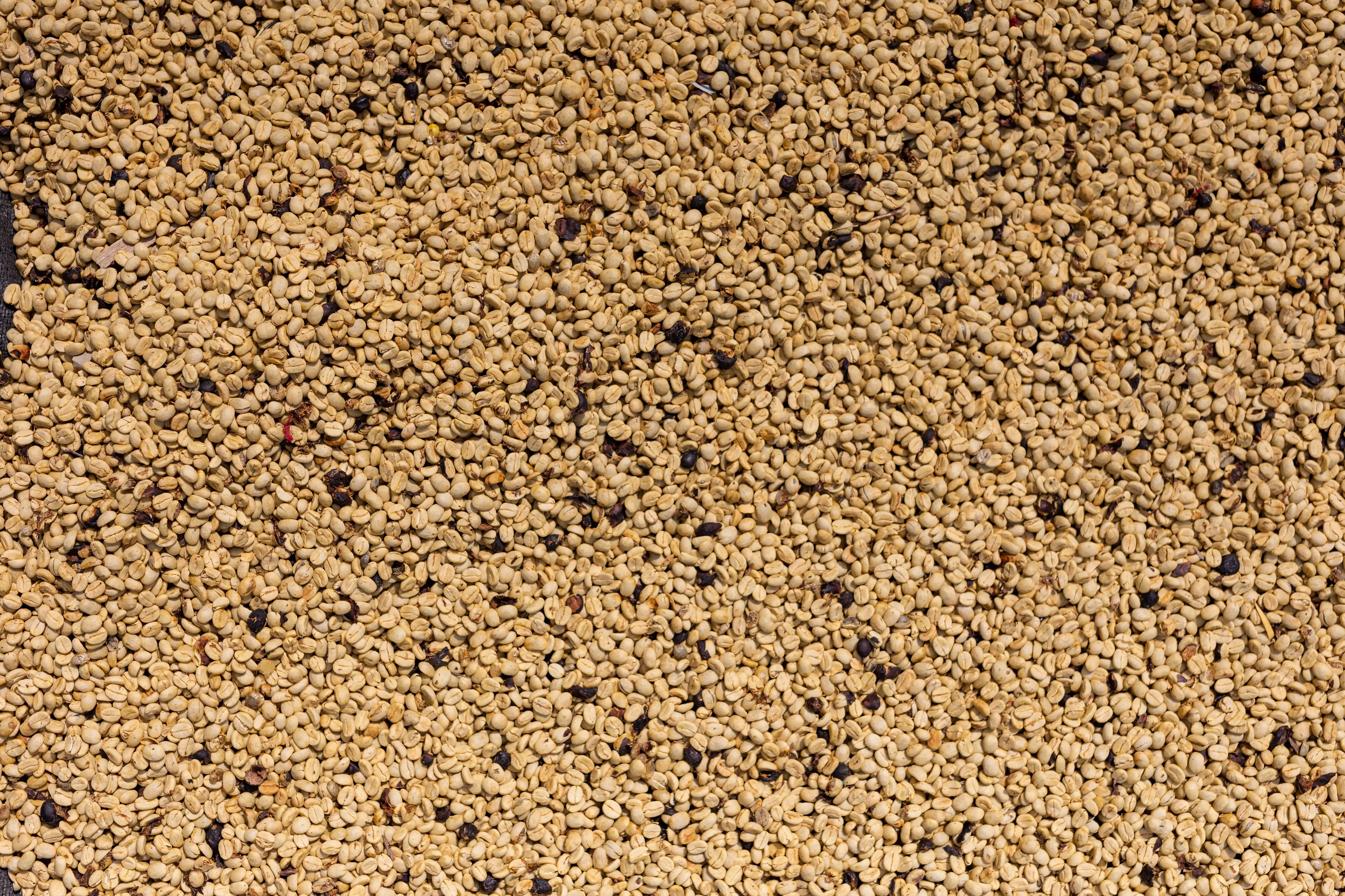 Raw commodity handling